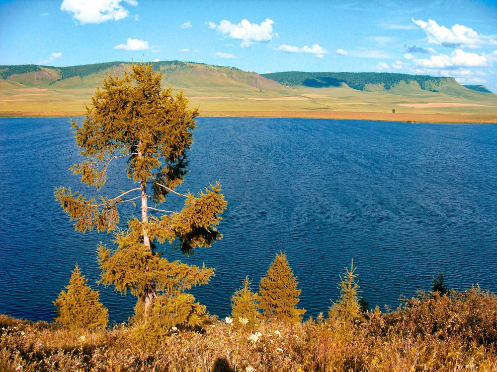 Photograph by Наталья Муравьёва