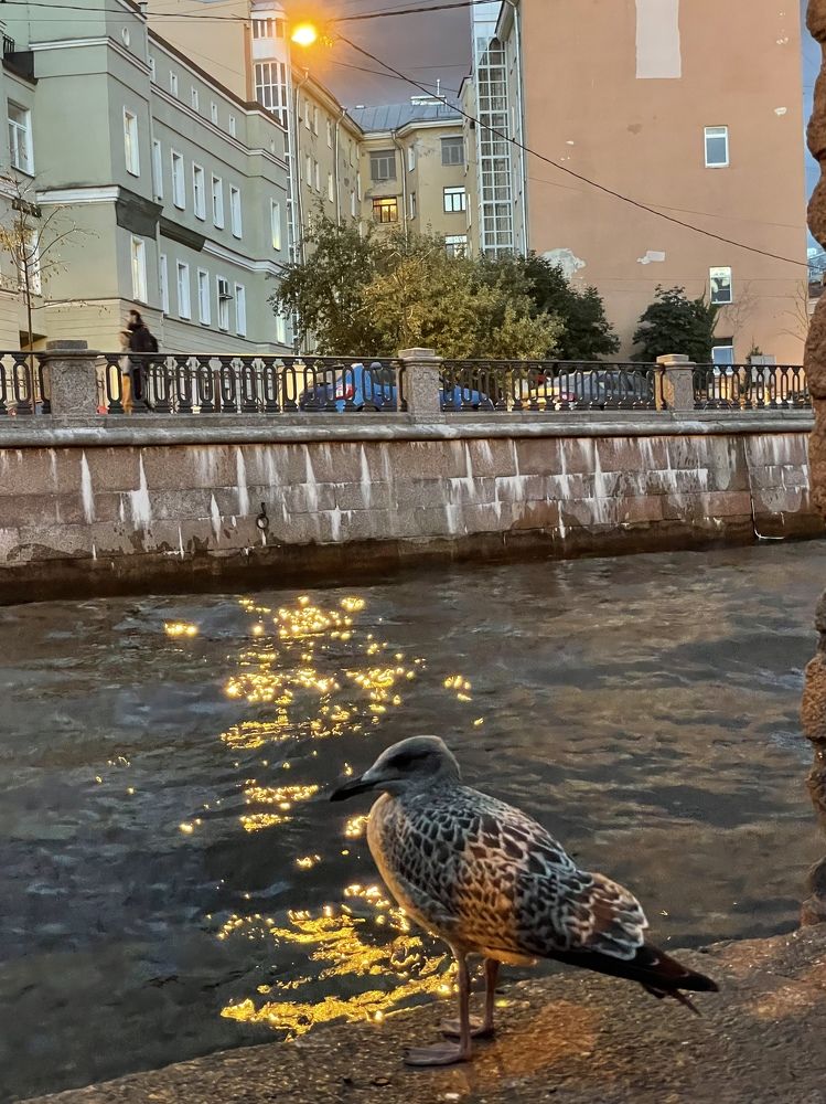 Photograph by Elena Efremova