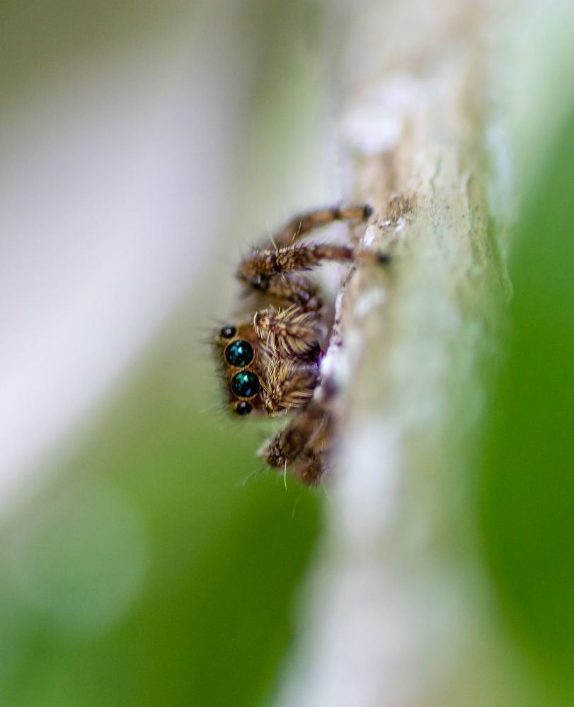 Photograph by Santhosh GVN