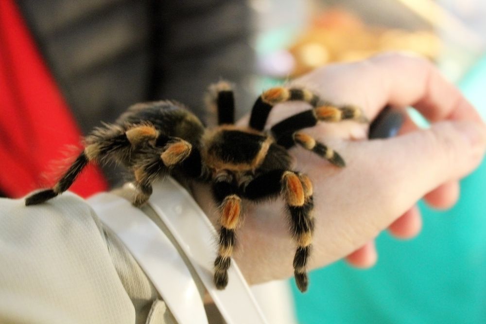 Photograph by Olga Bagaeva