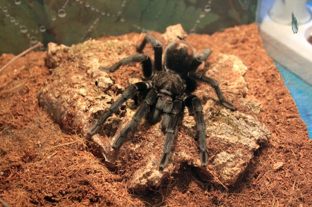 Photograph by Olga Bagaeva