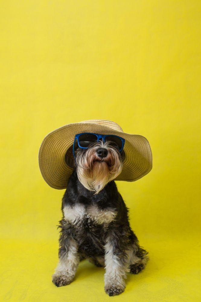 Цвет настроения - жёлтый