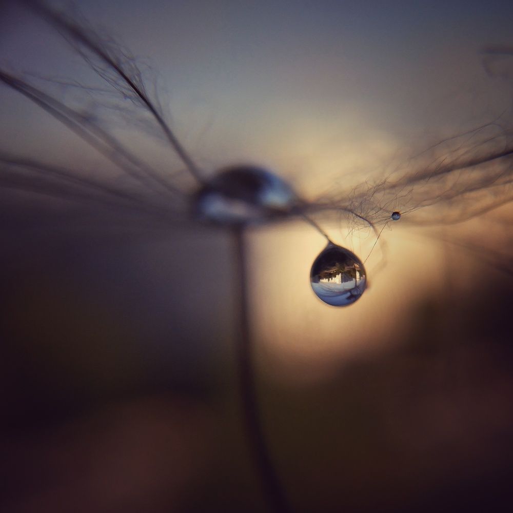 Photograph by Elena Lopatina