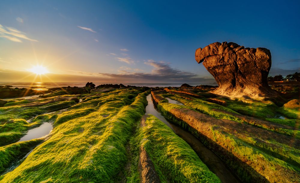 Photograph by Lê Huy Anh