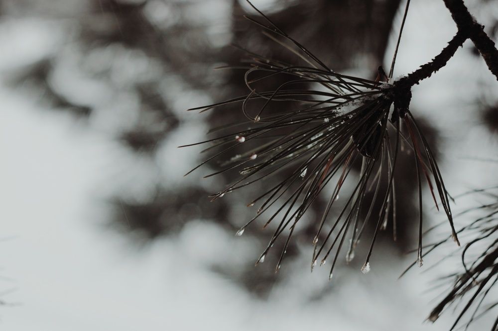 Photograph by Алёна Бондаренко