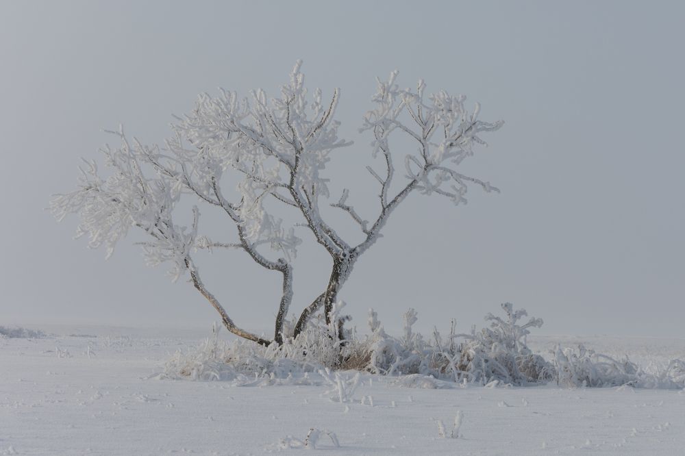 А ты когда-то слушал тишину?...