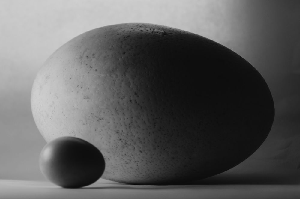 Photograph by Дарья Погонцева