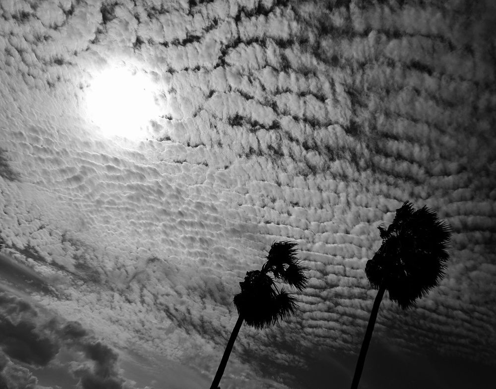 Photograph by Abdullah Mohamed Hasan