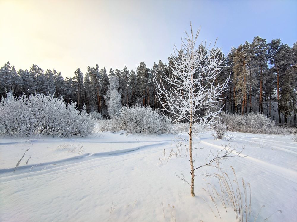 Photograph by Дмитрий Кузнецов