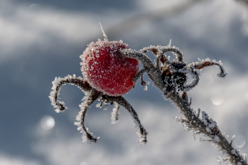 Photograph by Juris Livmanis