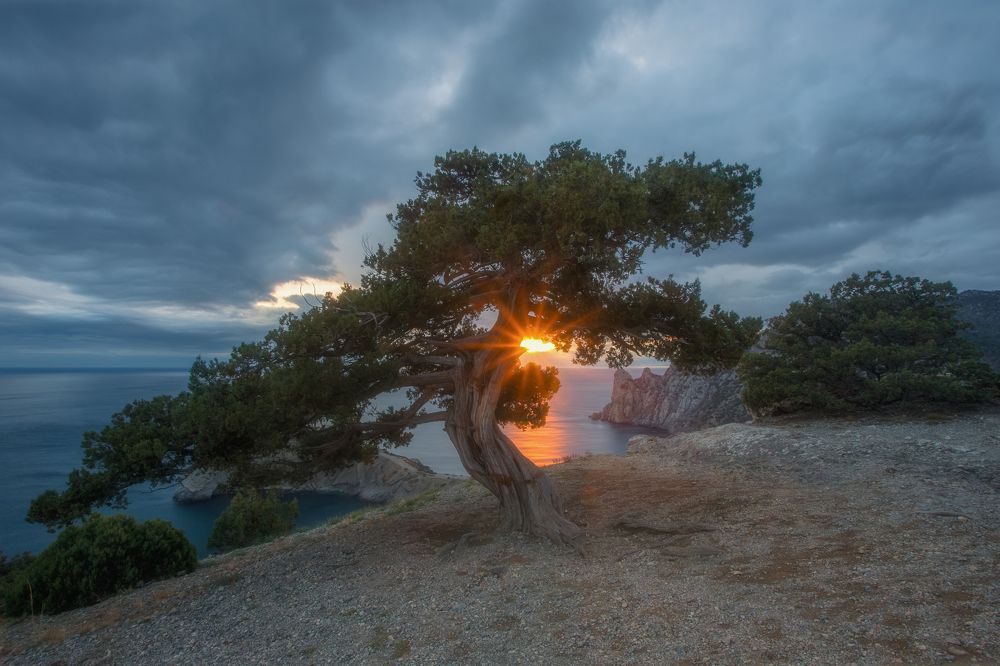 Фотография автора Екатерина Дмитренко