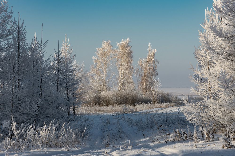 В морозный день...