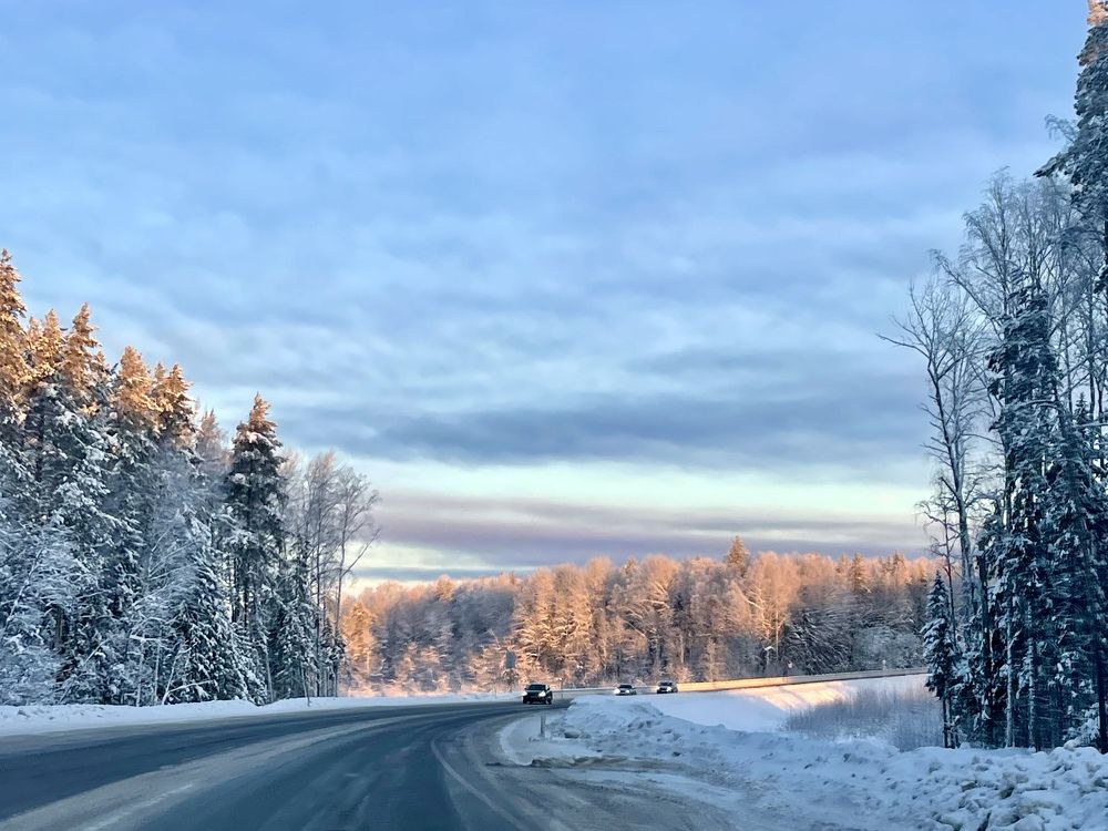 Фотография автора Юлия Шумейко