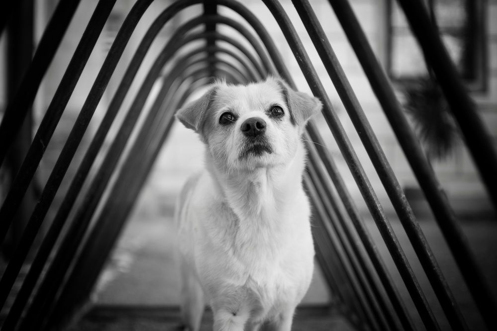 Photograph by Barbora Holinková