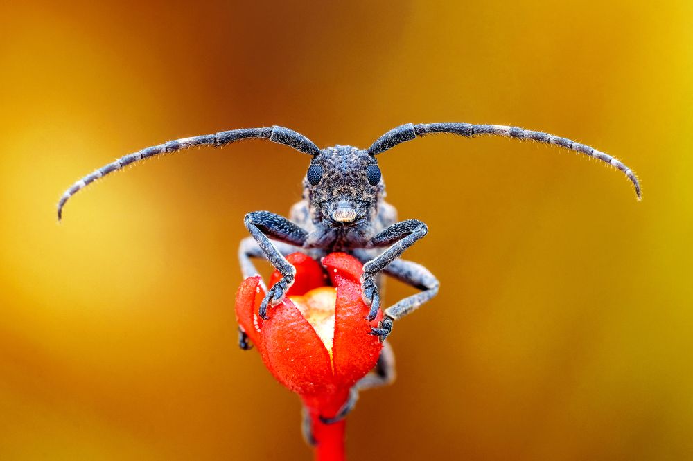 Photograph by KAIYEN LEE