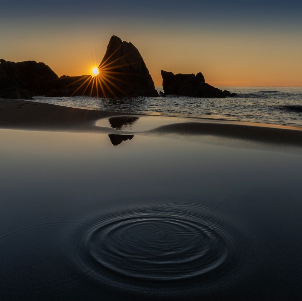 Photograph by 