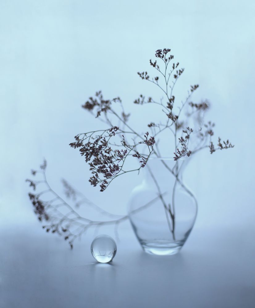 Photograph by Liliya Rodionova