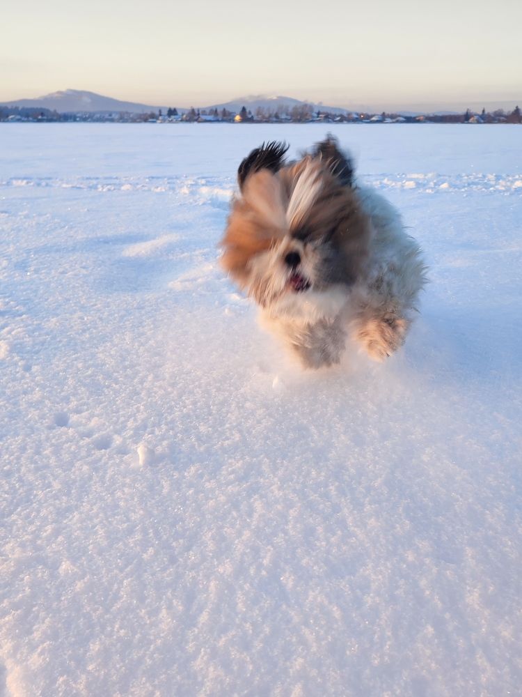 Photograph by Юлия Гинтер