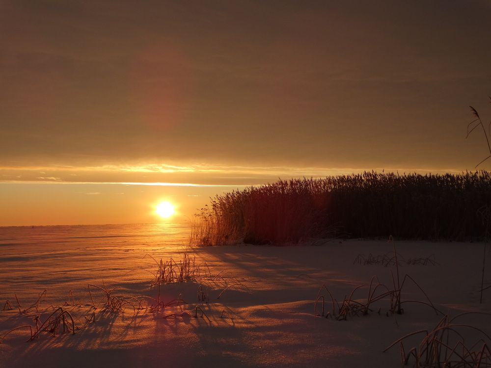 Photograph by Илона Отруцкая