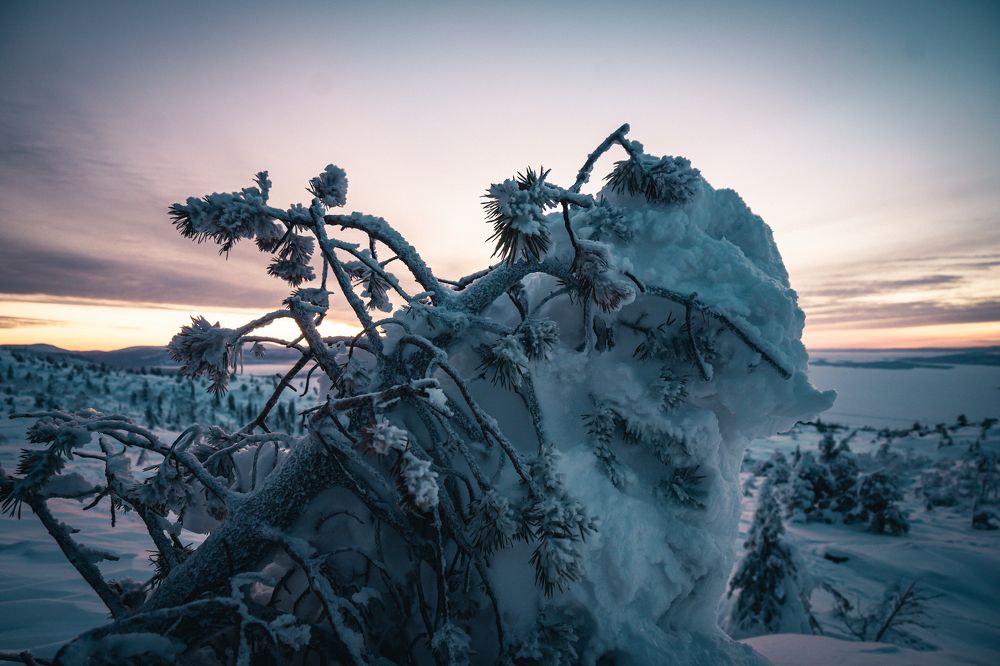 Photograph by Тарас