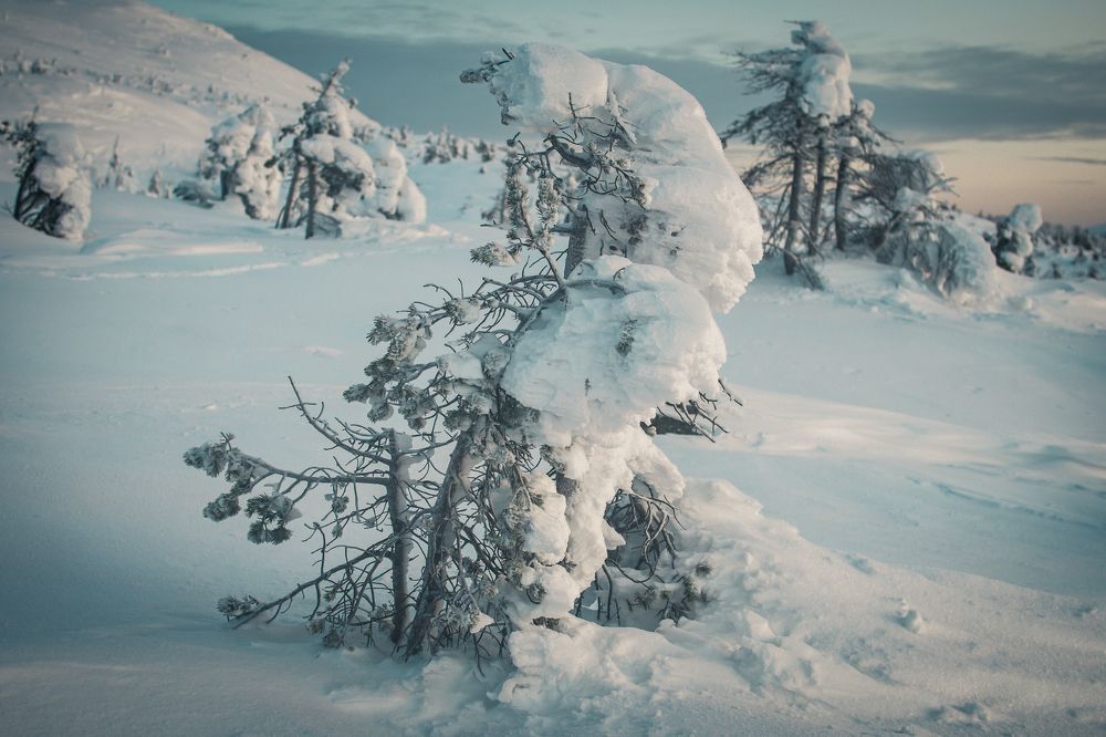 Photograph by Тарас