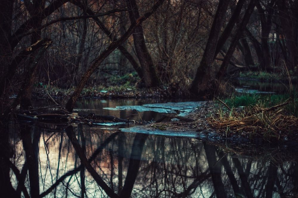 Photograph by Юлия Марфонова