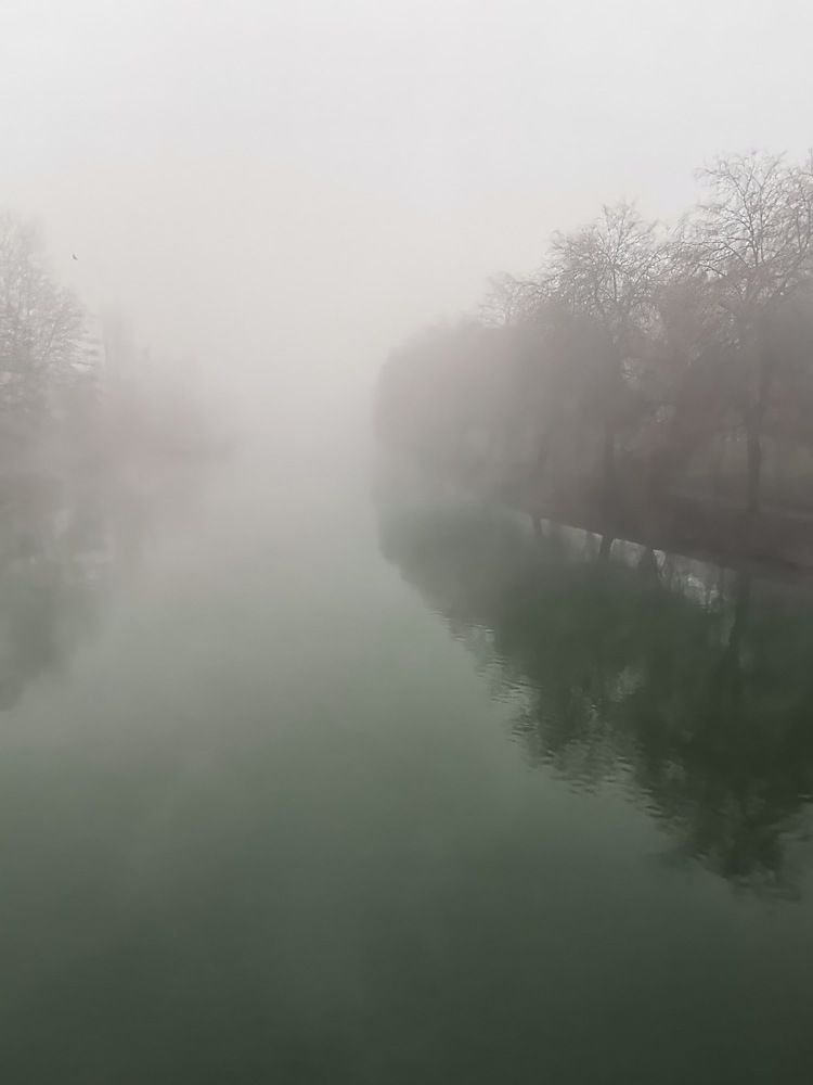 Photograph by Elena Pozdorovkina