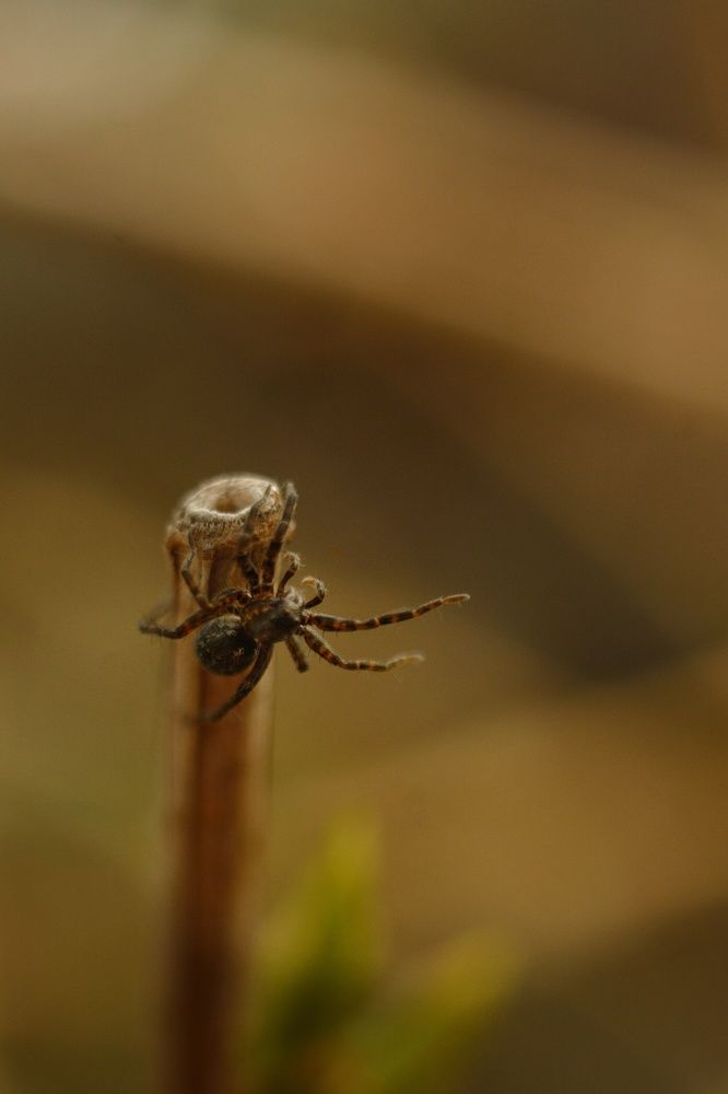 Photograph by Юлия Марфонова