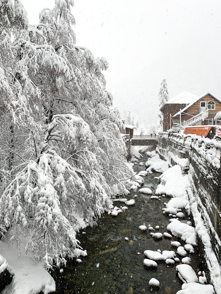 Снежный Домбай