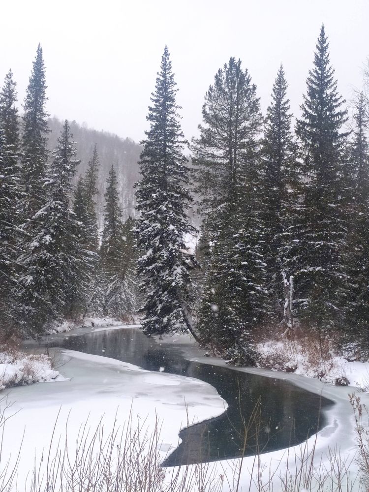 Photograph by Elena Kilina