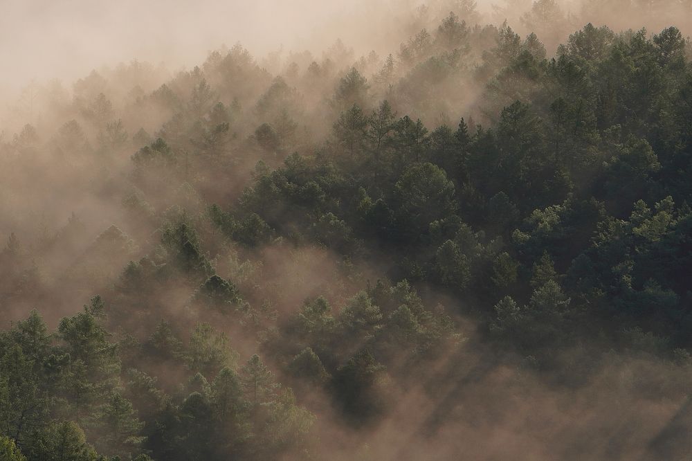 Photograph by Дима Городилов