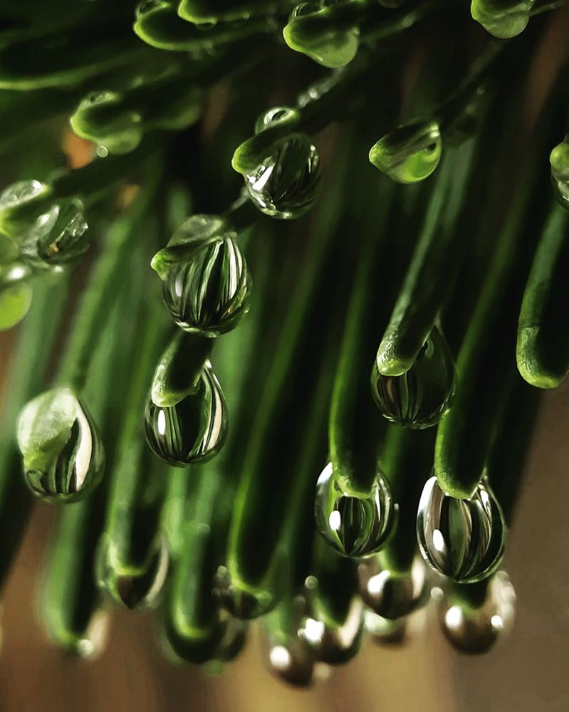 Photograph by Анна Чичилова