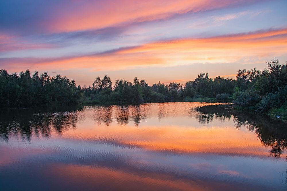 Фотография автора Анастасия