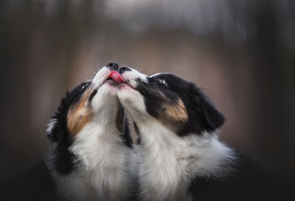 Photograph by Марина Шишкина