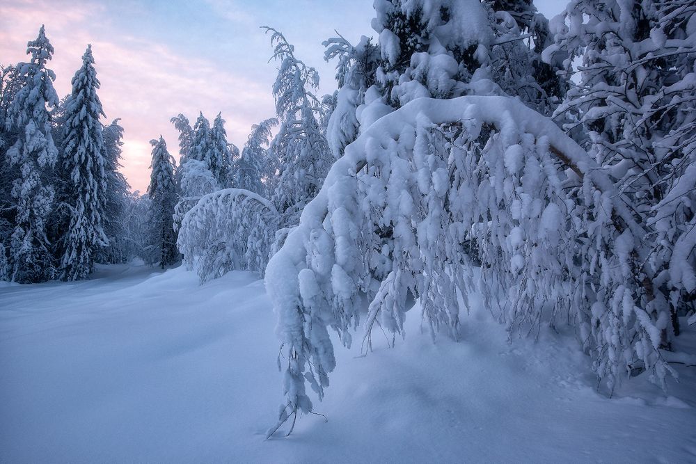 Фотография автора Сергей Сынтин