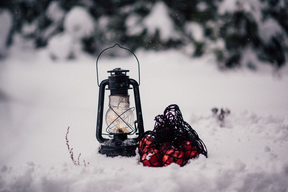 Photograph by Светлана Антипова