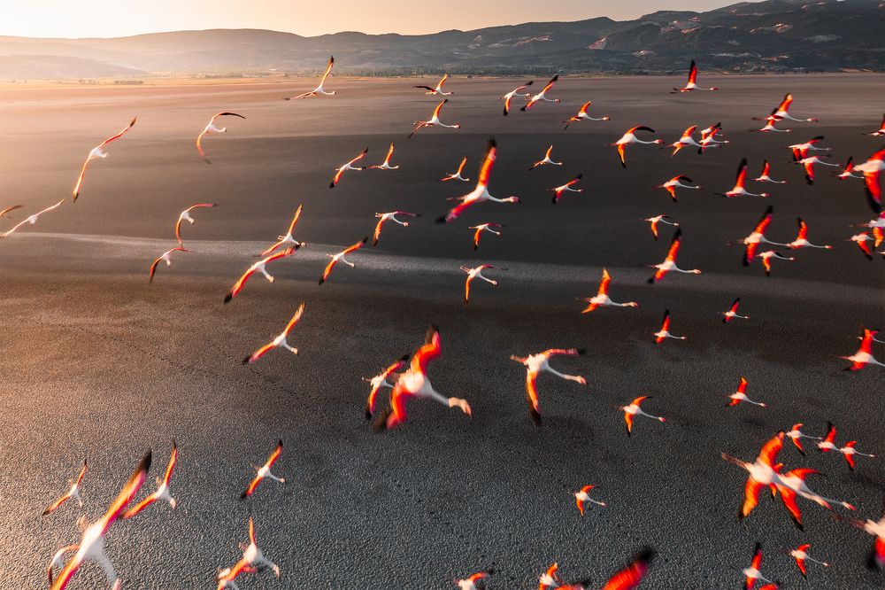 Photograph by Bahadir Sansarci