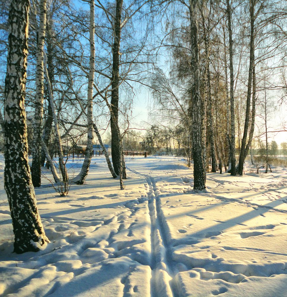 Photograph by Вера Лопатина