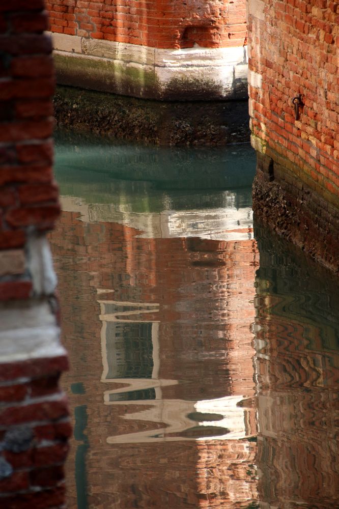 Photograph by Dinel Teodorescu