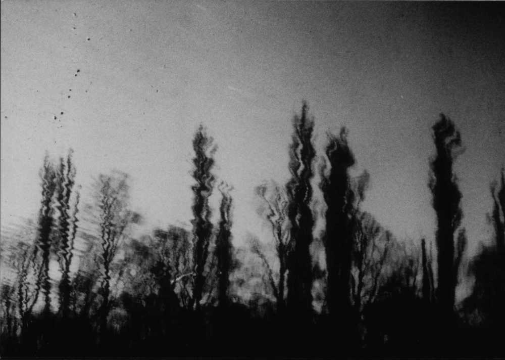 Photograph by Dinel Teodorescu