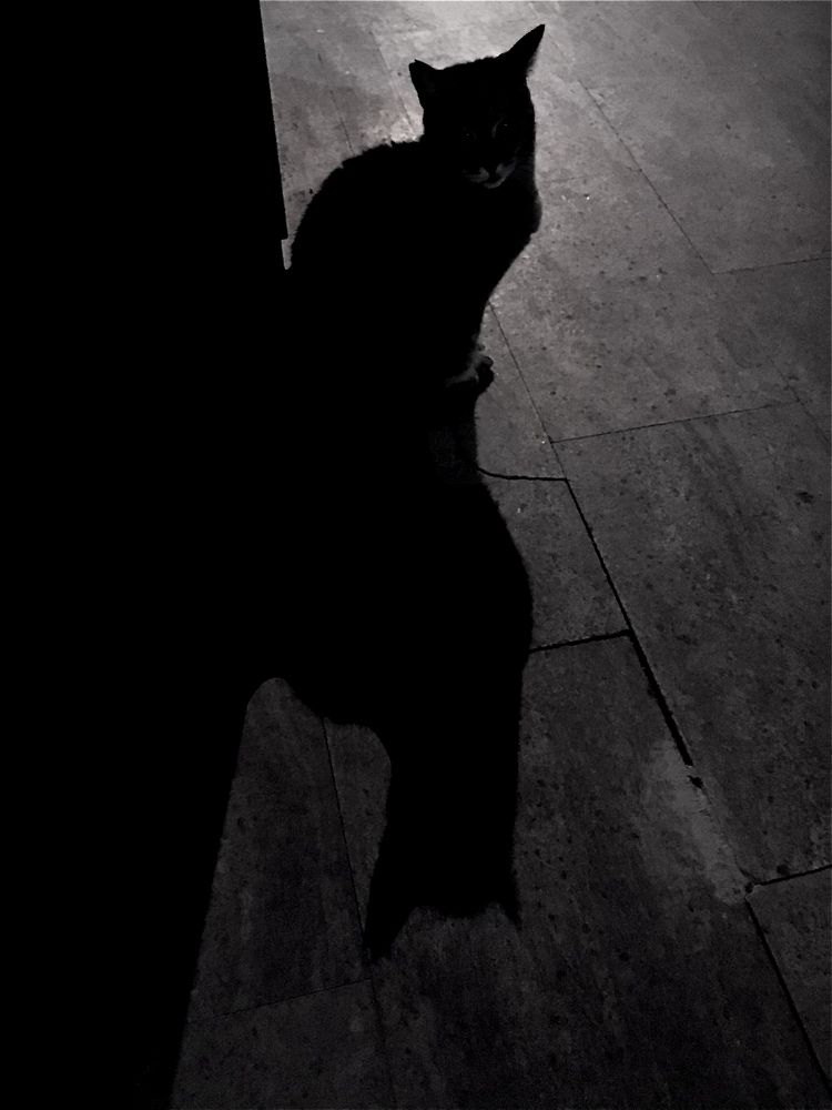 Photograph by Kutay Soysal