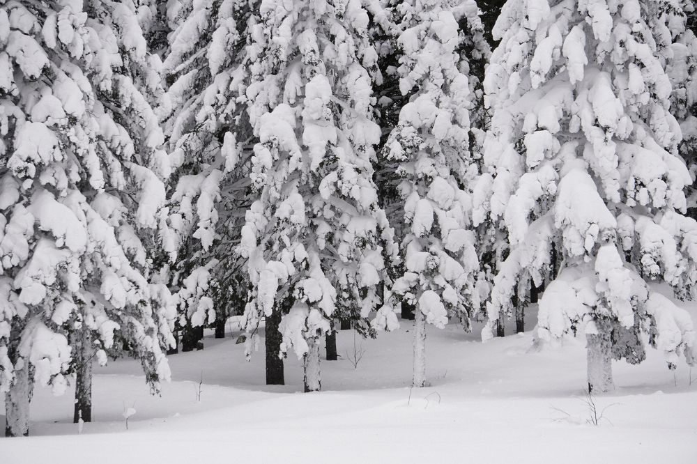 Photograph by Дима Городилов