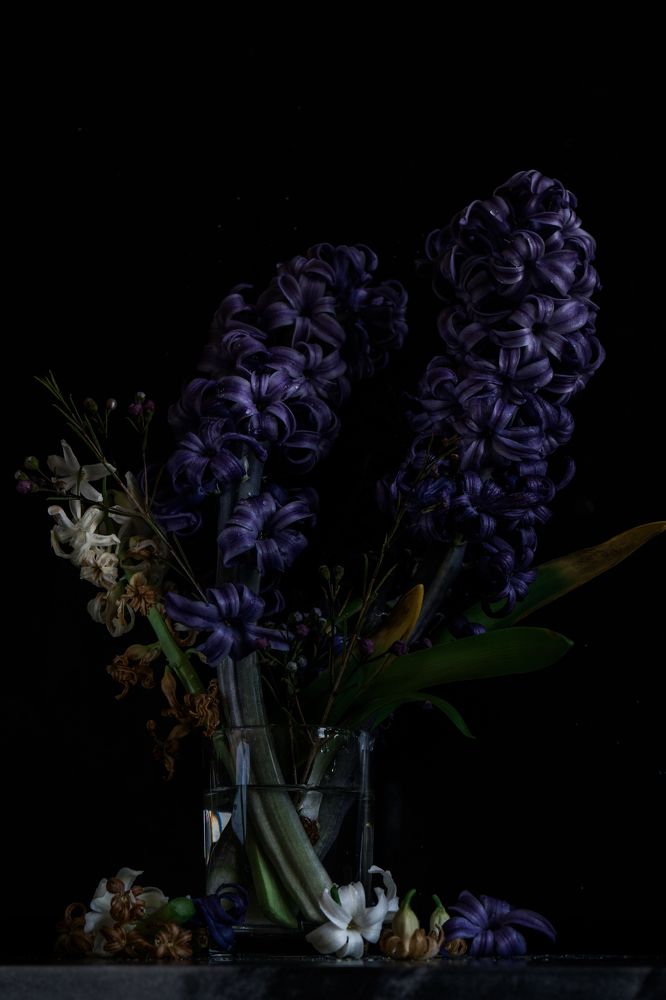 Photograph by Lisa Weinstein