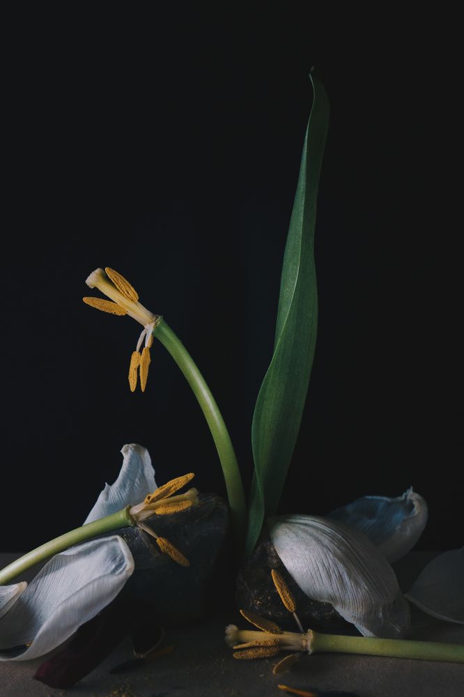 Photograph by Lisa Weinstein