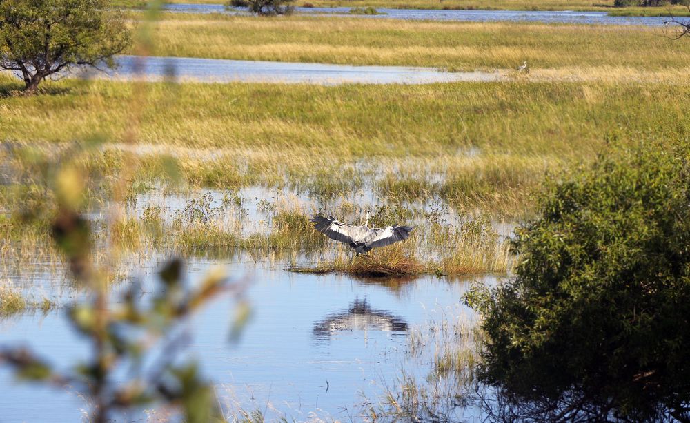 Photograph by Svetlana Victorovna Kibyakova