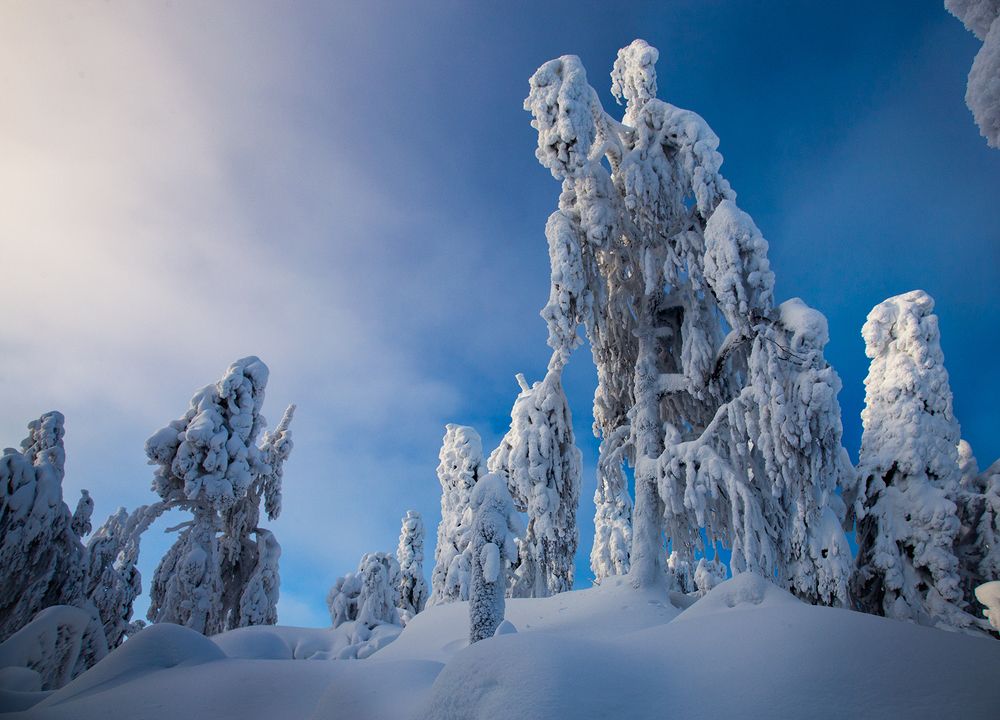 Photograph by Сергей Чарушин