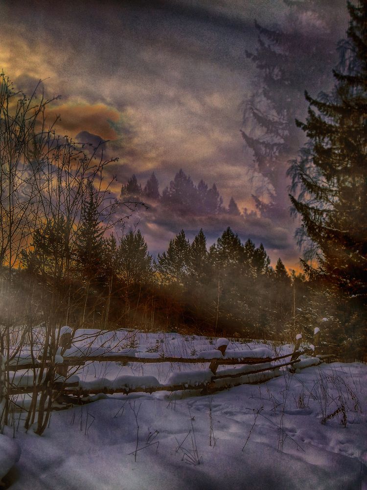 Photograph by Ксения Бочкова