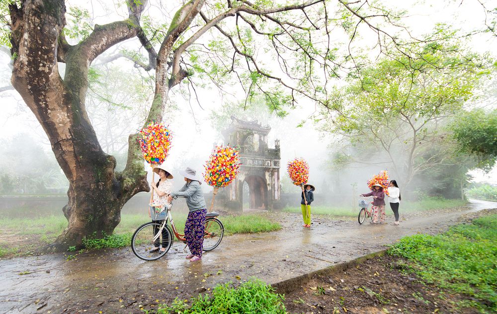 Фотография автора Đào Cảnh