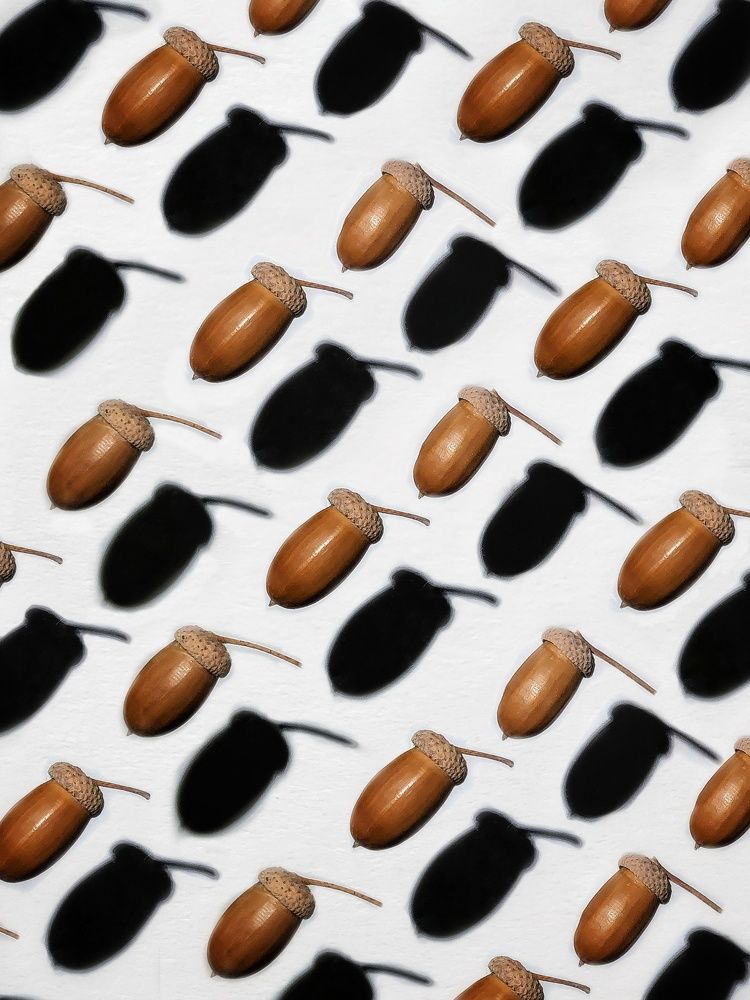 Фотография автора Ольга Игуменова