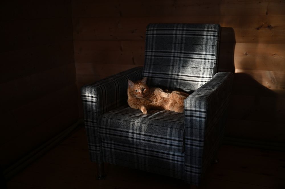 Photograph by Ленария Асянова